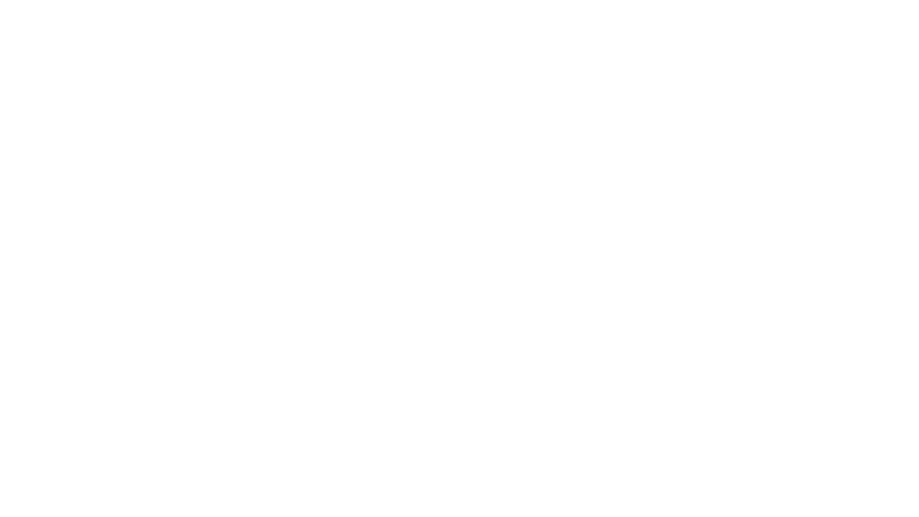 the digital strategist